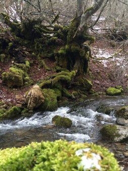 Paseo hasta la Boyariza